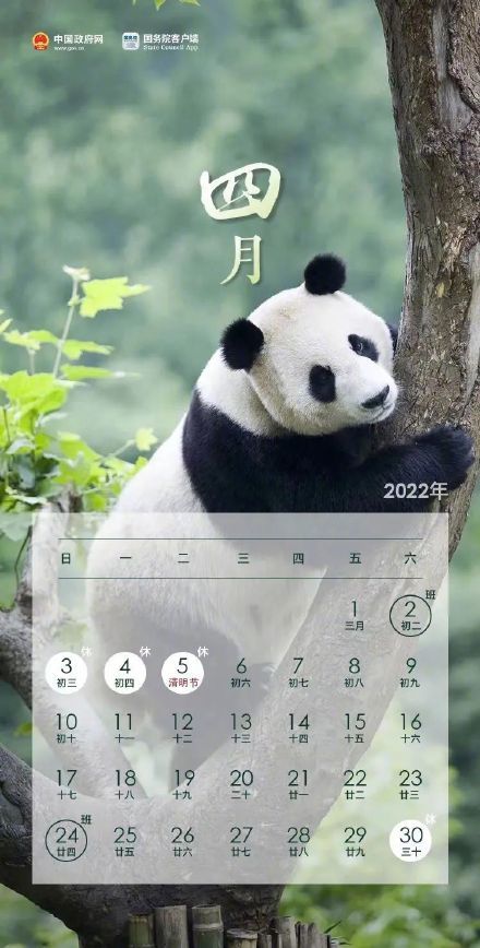 641.jpg